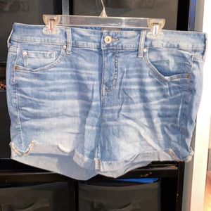 Torrid Shorts